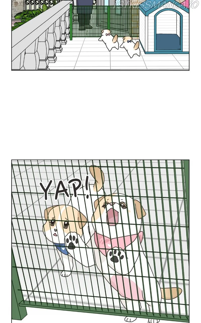 The Dog Diaries Zinmanga X Chapter 77 Page 35