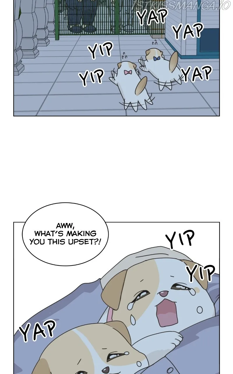 The Dog Diaries Zinmanga X Chapter 77 Page 49
