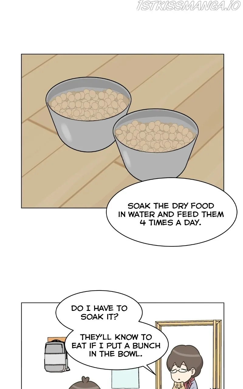 The Dog Diaries Zinmanga X Chapter 76 Page 1