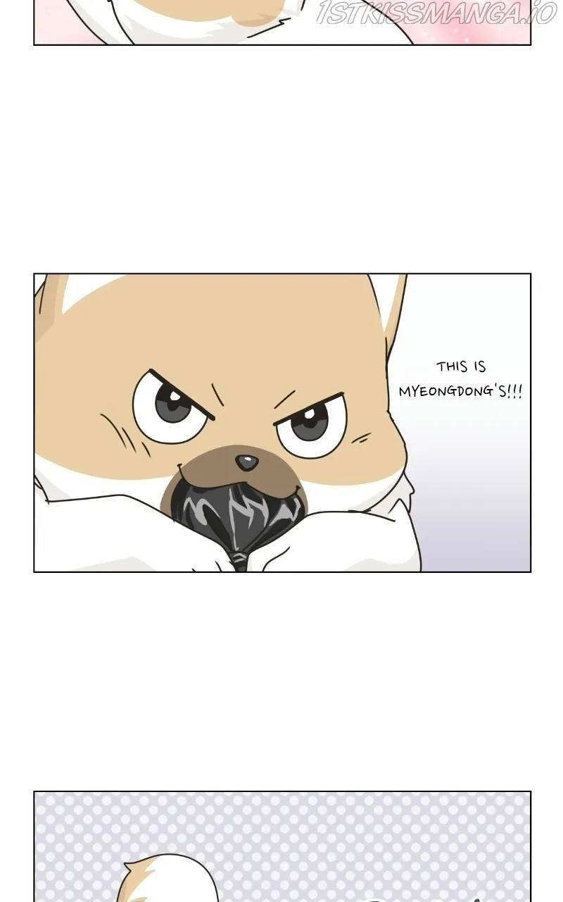 The Dog Diaries Zinmanga X Chapter 75 Page 42