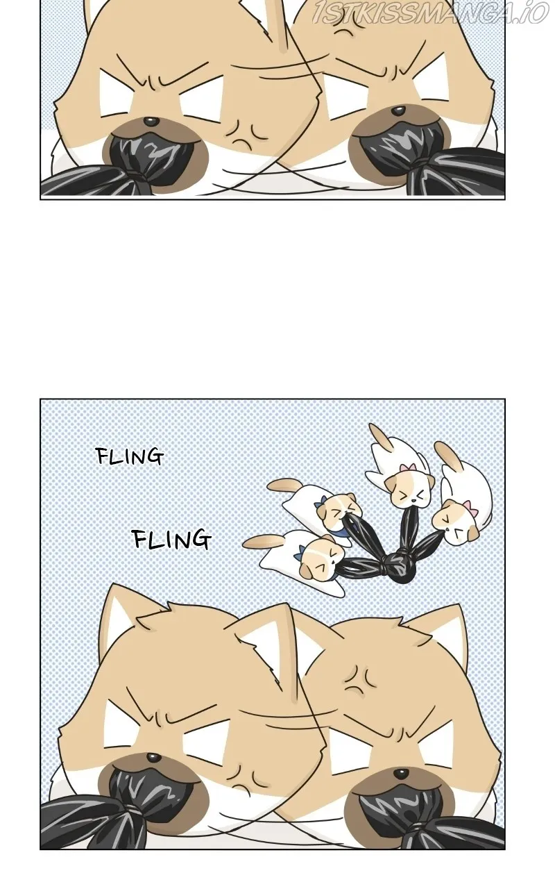 The Dog Diaries Zinmanga X Chapter 75 Page 44