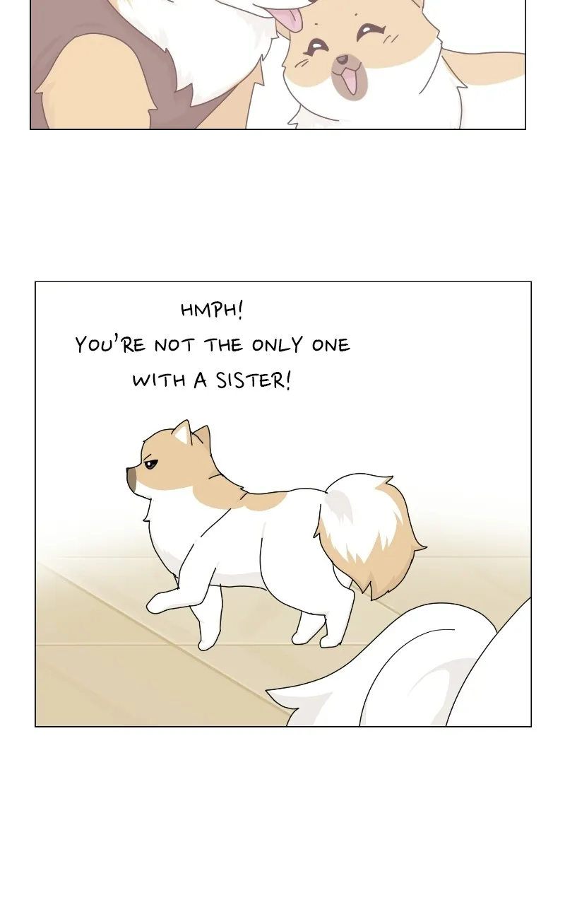 The Dog Diaries Zinmanga X Chapter 69 Page 45