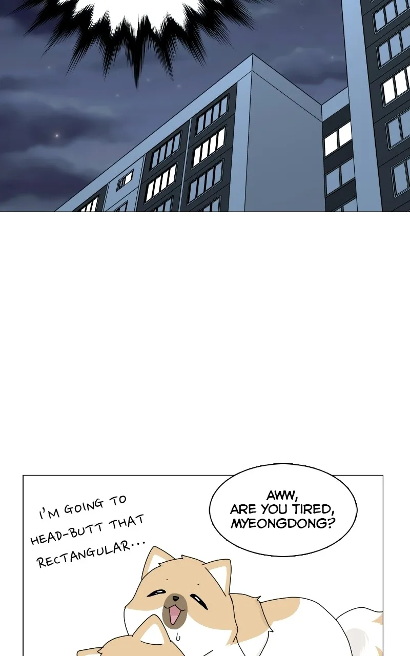 The Dog Diaries Zinmanga X Chapter 69 Page 66