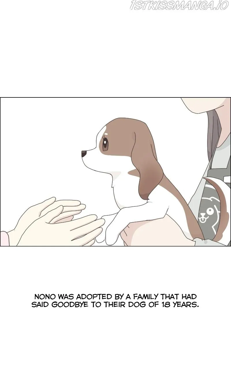 The Dog Diaries Zinmanga X Chapter 67 Page 41