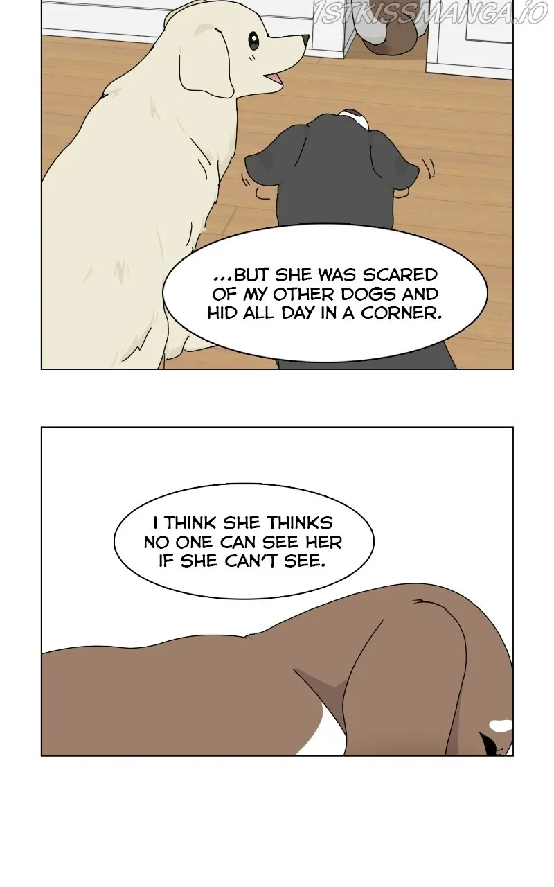 The Dog Diaries Zinmanga X Chapter 66 Page 30