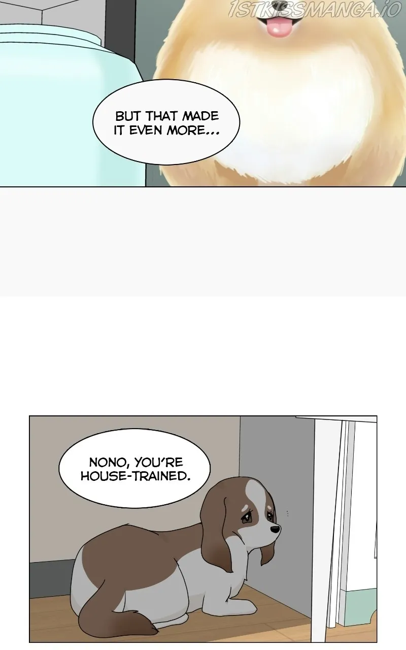 The Dog Diaries Zinmanga X Chapter 66 Page 62