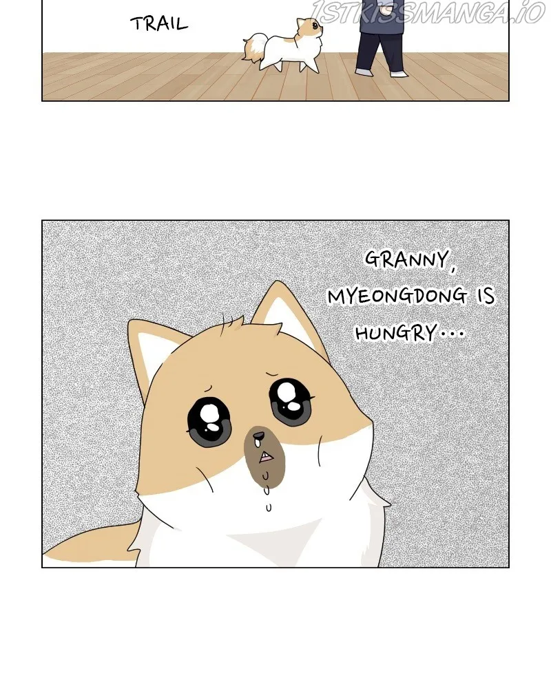 The Dog Diaries Zinmanga X Chapter 63 Page 2