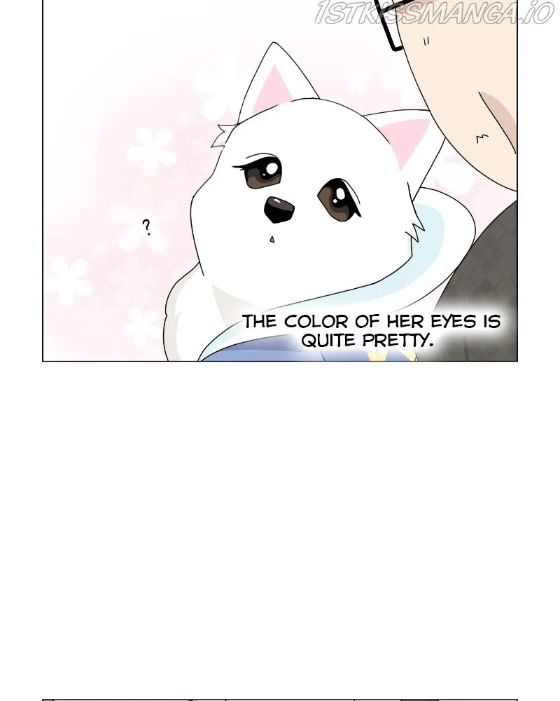 The Dog Diaries Zinmanga X Chapter 62 Page 39