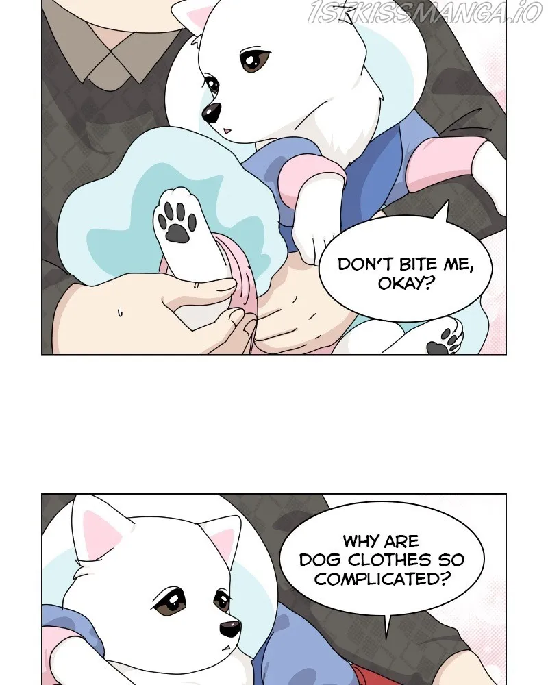 The Dog Diaries Zinmanga X Chapter 62 Page 40