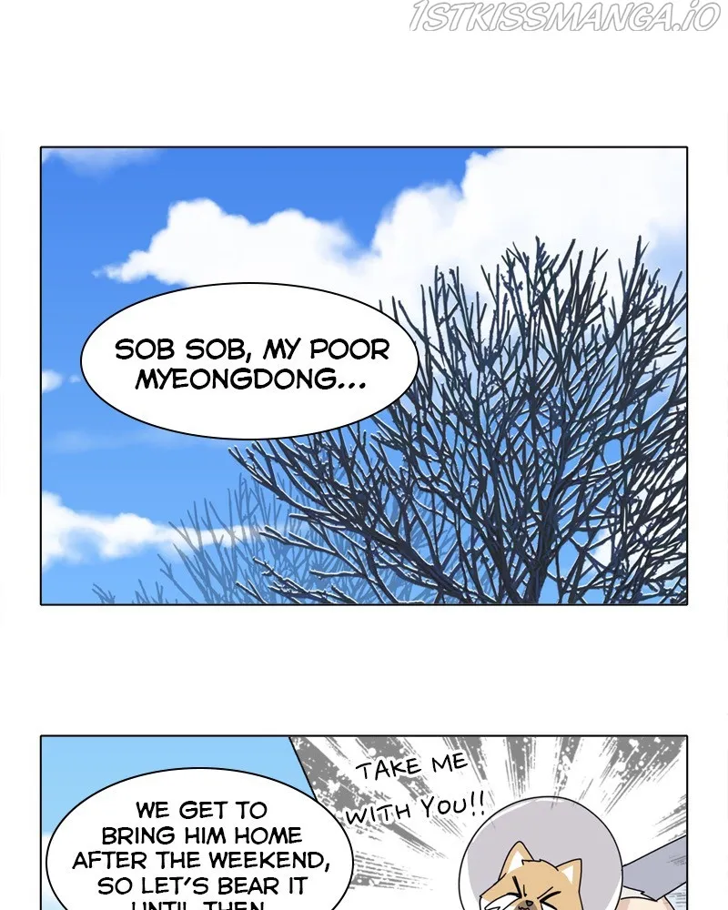 The Dog Diaries Zinmanga X Chapter 49 Page 60