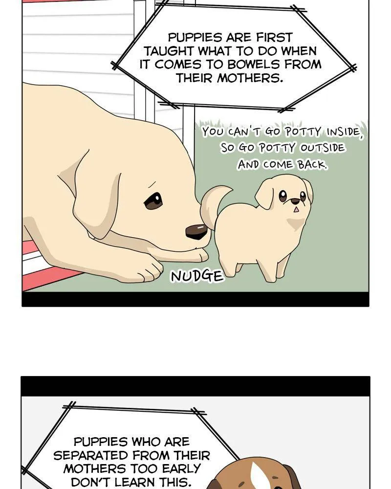 The Dog Diaries Zinmanga X Chapter 44 Page 19