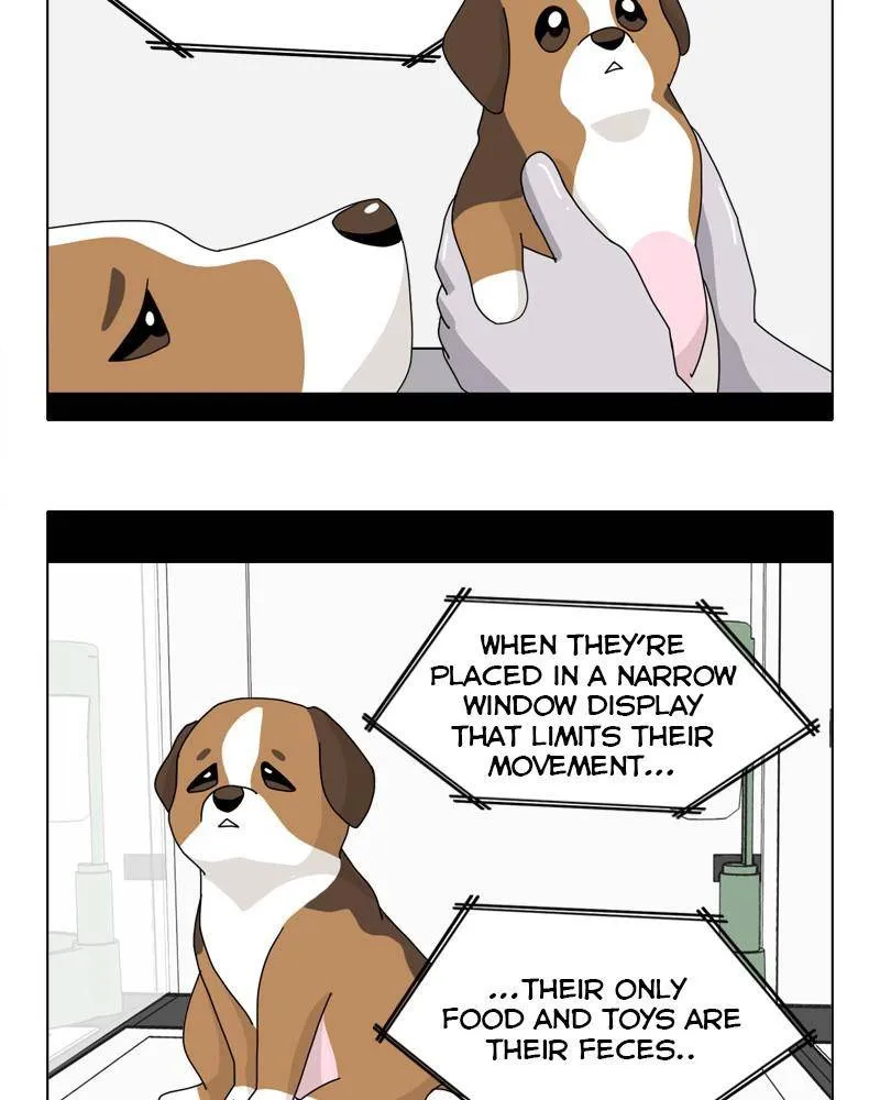 The Dog Diaries Zinmanga X Chapter 44 Page 20