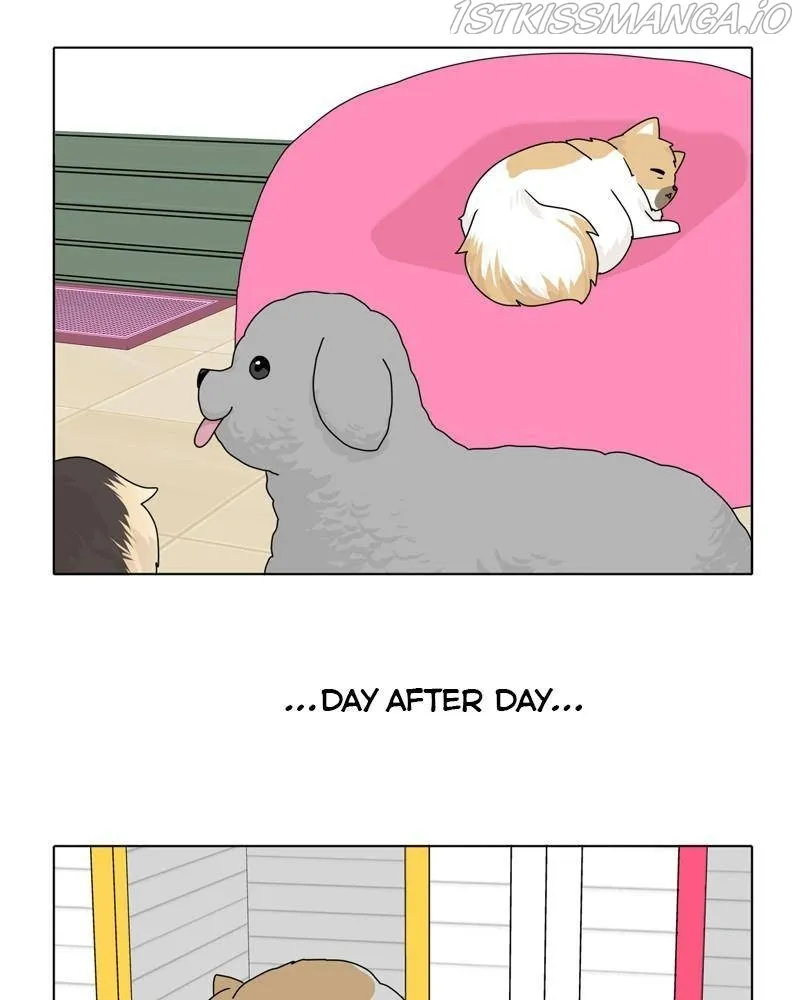 The Dog Diaries Zinmanga X Chapter 39 Page 51