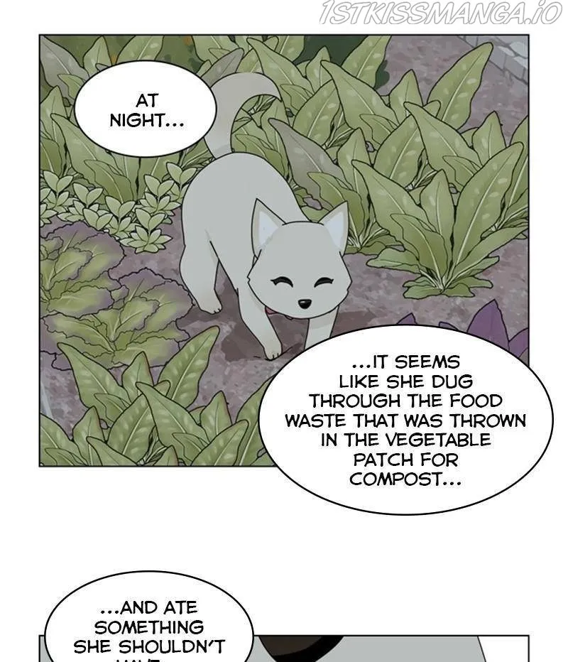 The Dog Diaries Zinmanga X Chapter 35 Page 33