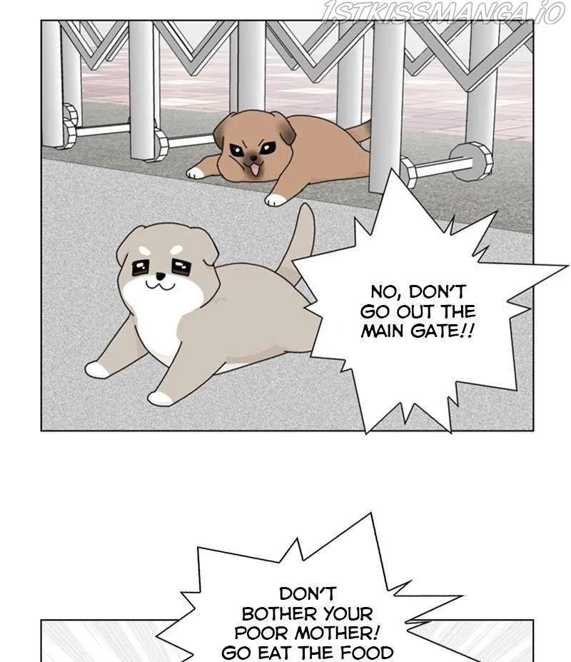 The Dog Diaries Zinmanga X Chapter 33 Page 33