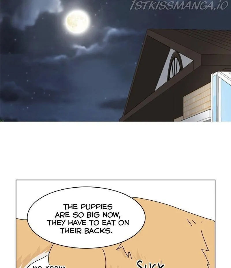 The Dog Diaries Zinmanga X Chapter 33 Page 37