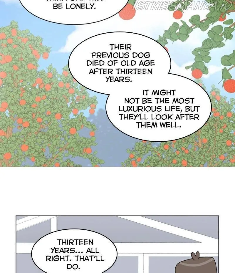 The Dog Diaries Zinmanga X Chapter 33 Page 43