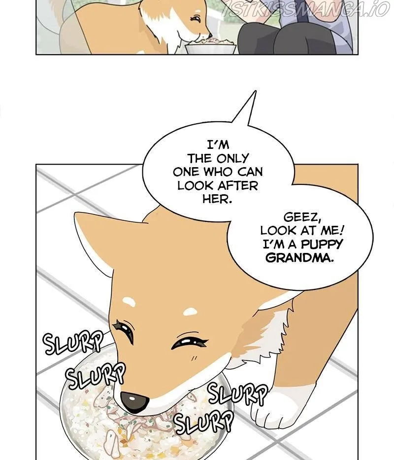 The Dog Diaries Zinmanga X Chapter 31 Page 36