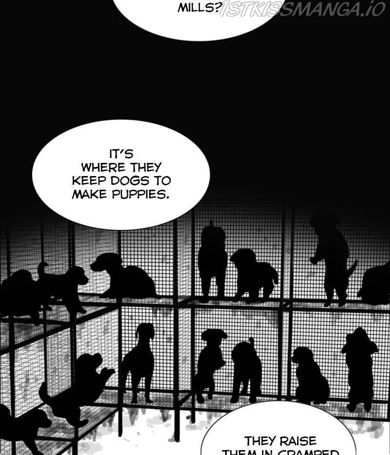 The Dog Diaries Zinmanga X Chapter 31 Page 47