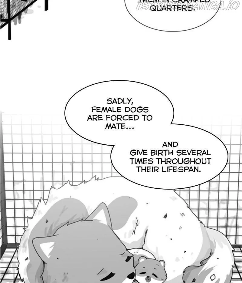 The Dog Diaries Zinmanga X Chapter 31 Page 48