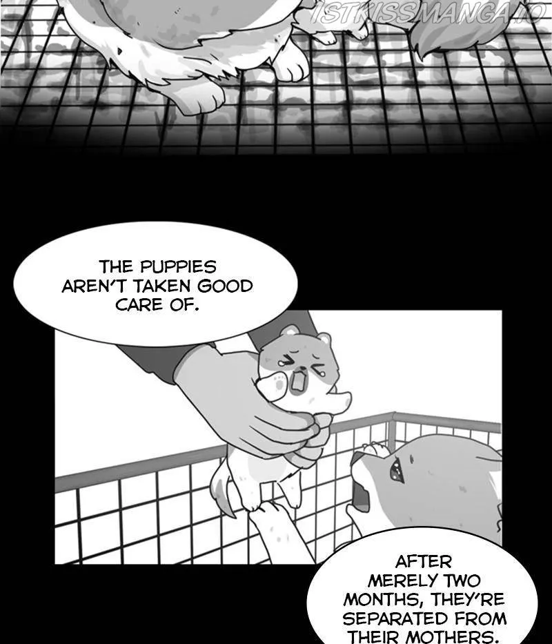 The Dog Diaries Zinmanga X Chapter 31 Page 49