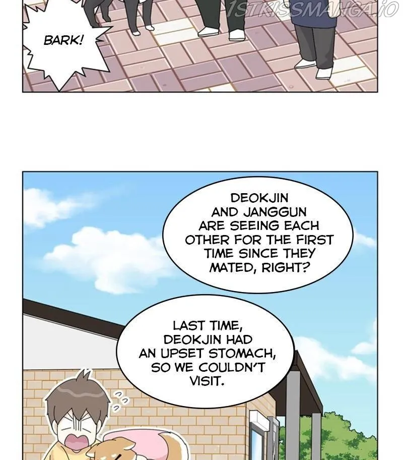 The Dog Diaries Zinmanga X Chapter 31 Page 69