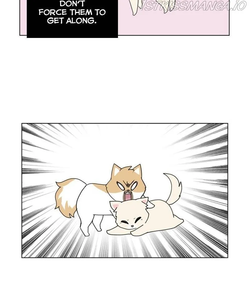 The Dog Diaries Zinmanga X Chapter 28 Page 51