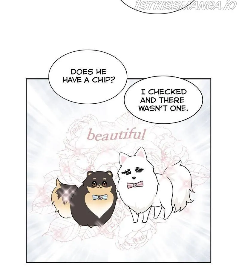 The Dog Diaries Zinmanga X Chapter 26 Page 29