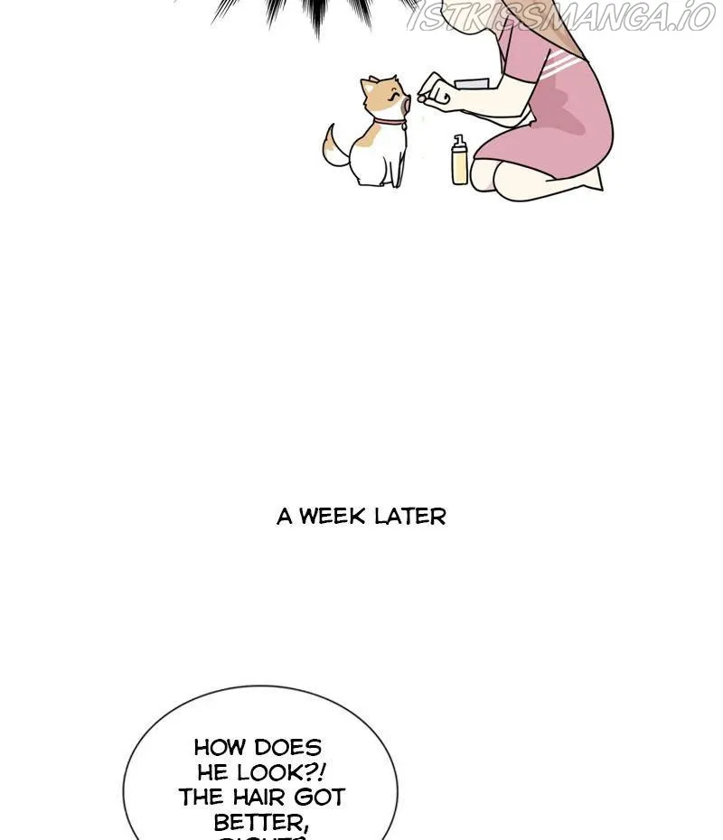 The Dog Diaries Zinmanga X Chapter 23 Page 47
