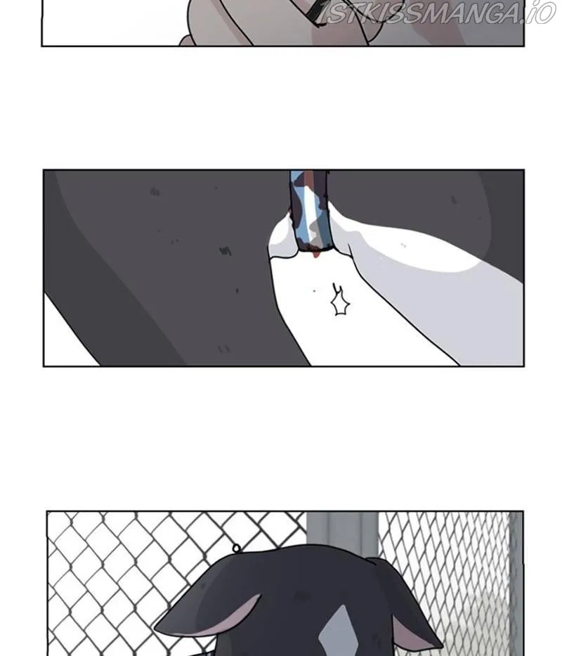 The Dog Diaries Zinmanga X Chapter 20 Page 5