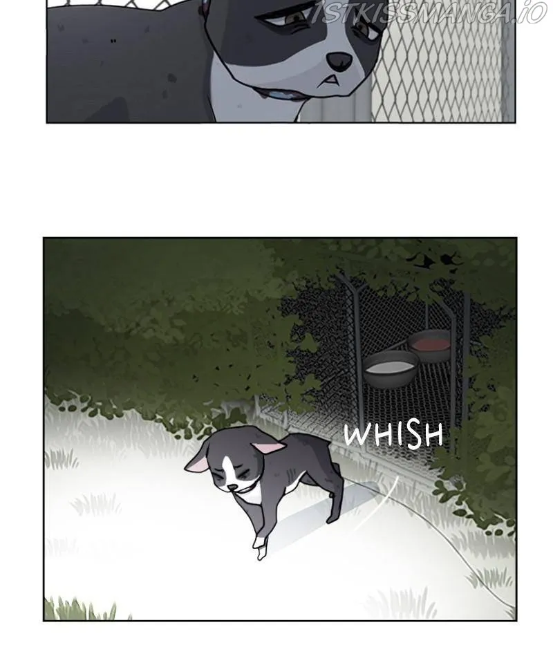 The Dog Diaries Zinmanga X Chapter 20 Page 6