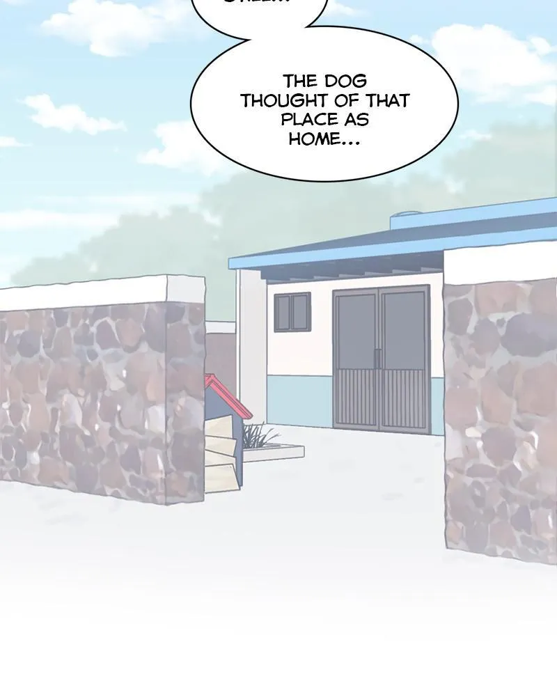 The Dog Diaries Zinmanga X Chapter 19 Page 11