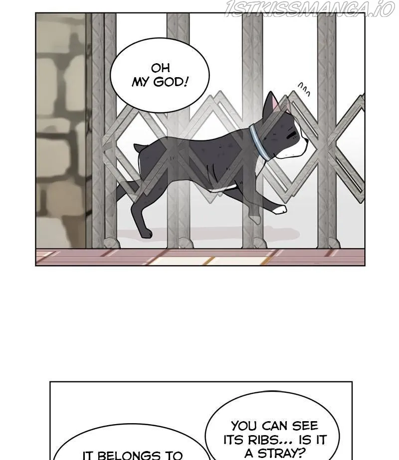 The Dog Diaries Zinmanga X Chapter 17 Page 8