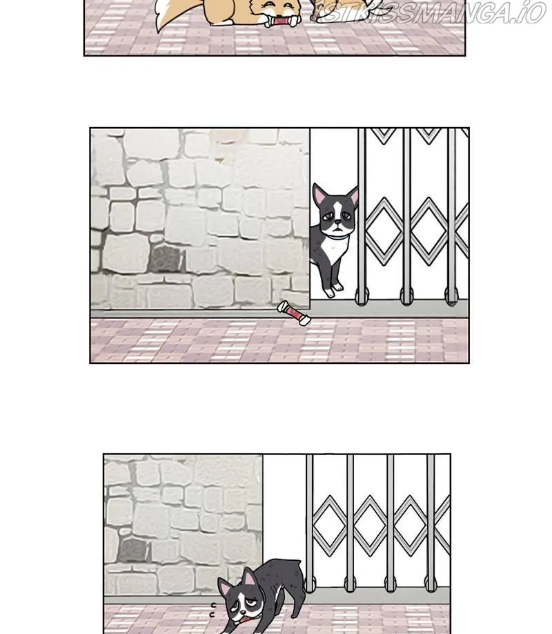 The Dog Diaries Zinmanga X Chapter 17 Page 41