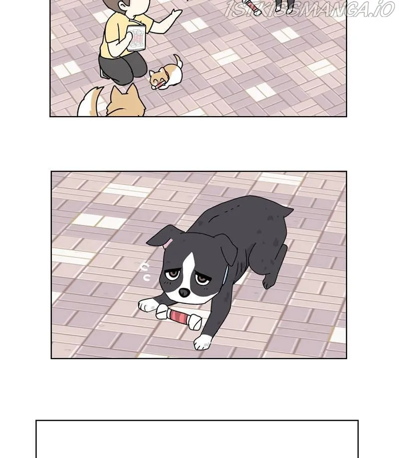 The Dog Diaries Zinmanga X Chapter 17 Page 47