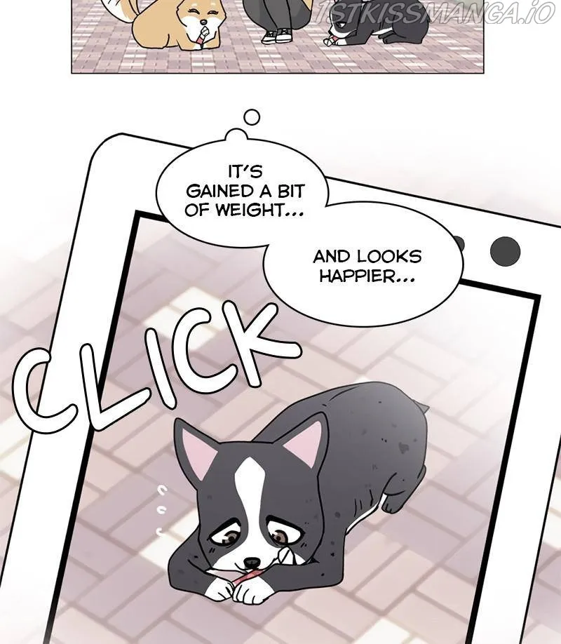 The Dog Diaries Zinmanga X Chapter 17 Page 51