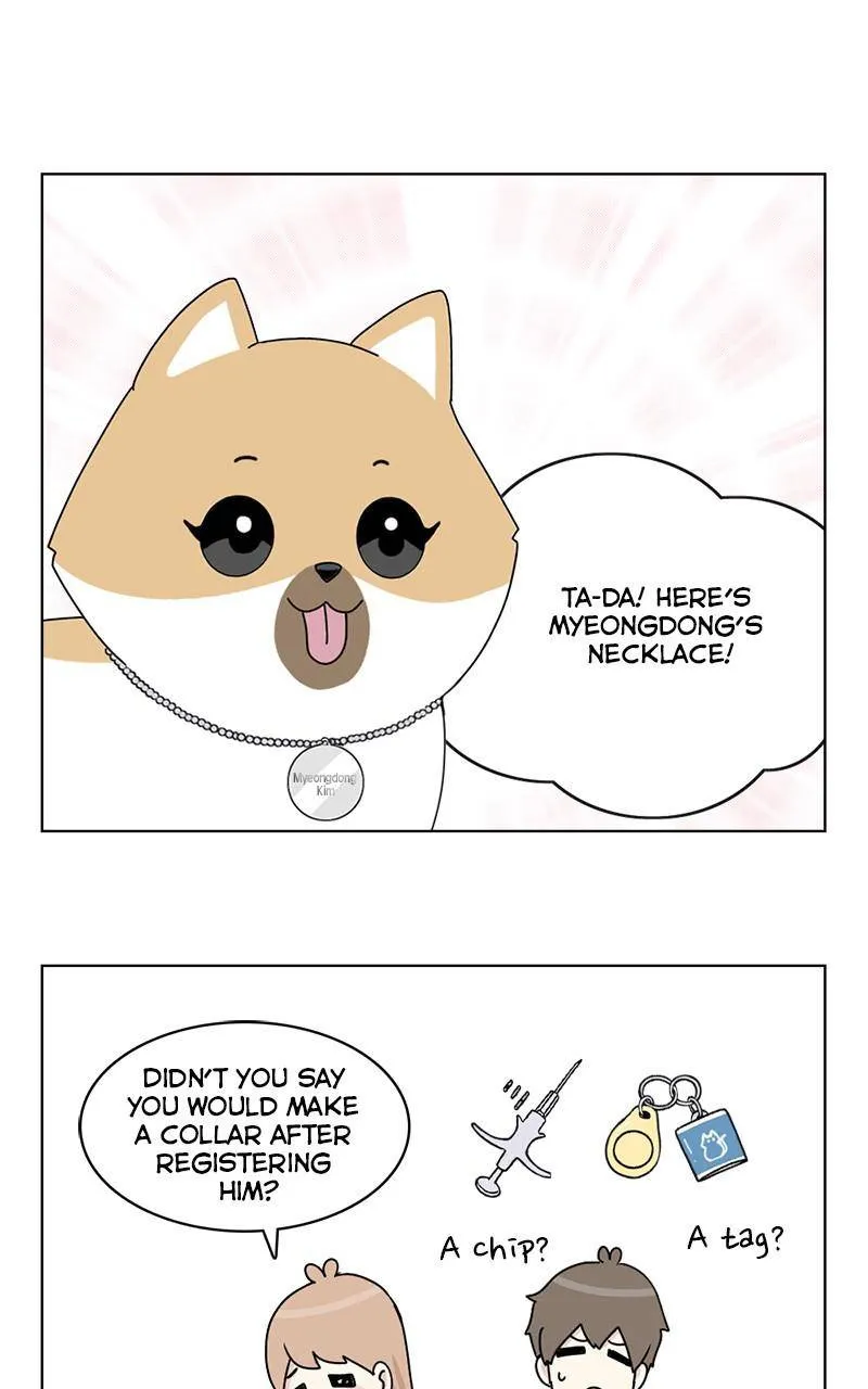 The Dog Diaries Zinmanga X Chapter 9 Page 1