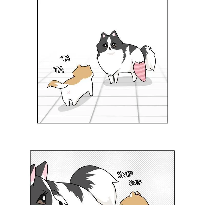 The Dog Diaries Zinmanga X Chapter 7 Page 5