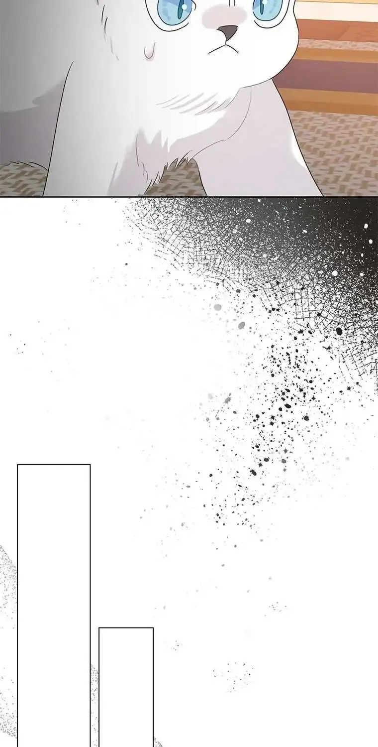 Lady Leone Must Survive Zinmanga X Chapter 13 Page 19