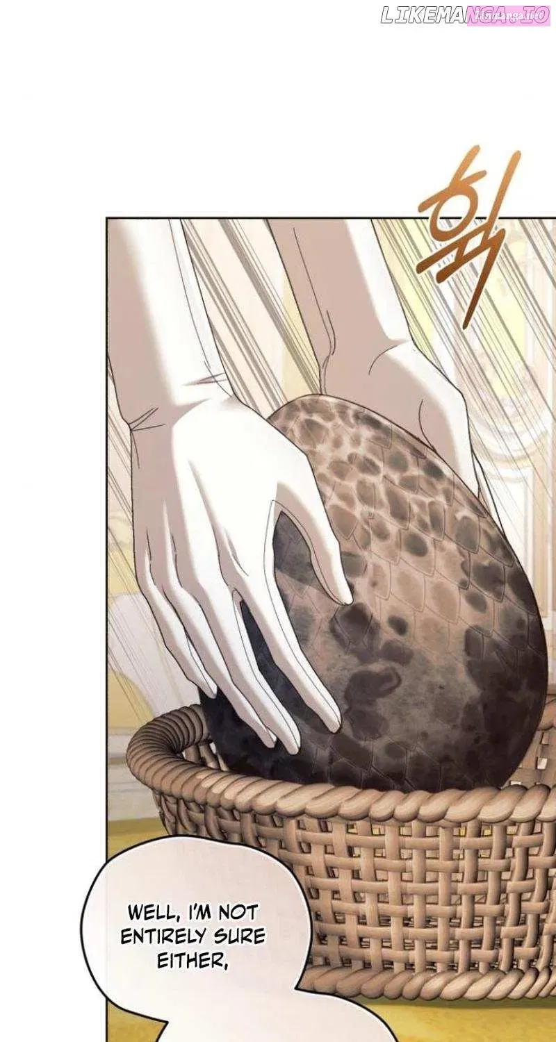 I Was The Acting Empress But I Spent The First Night With Him Zinmanga X Chapter 28 Page 49