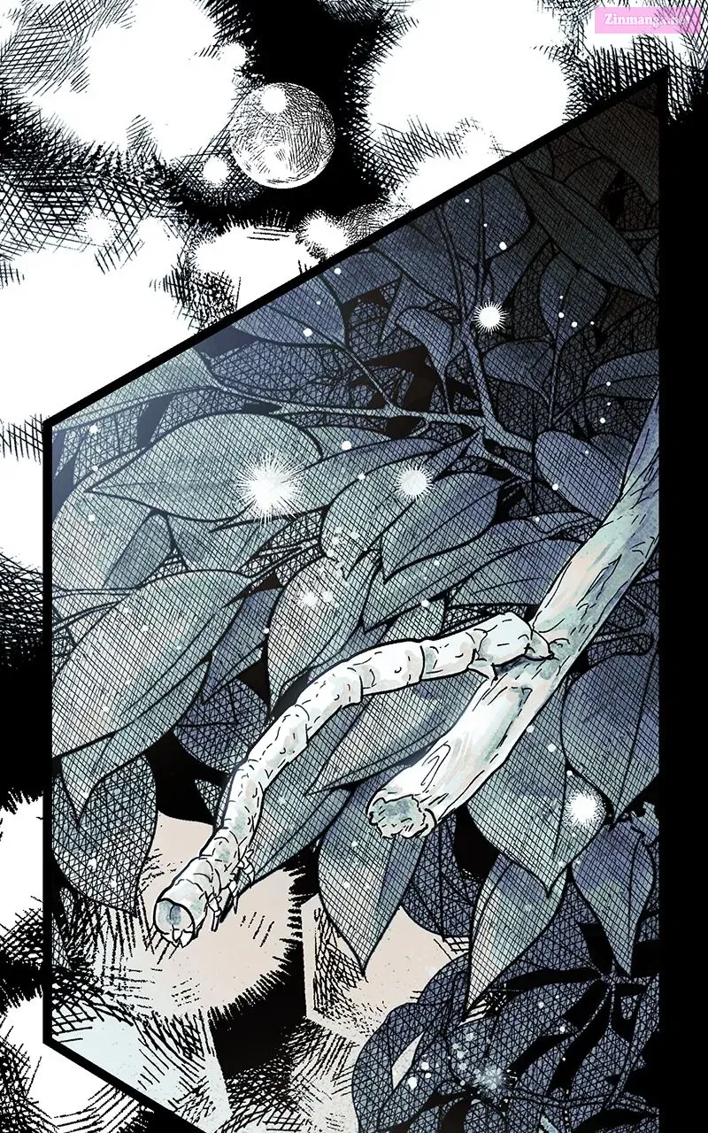 Ark of the Law Zinmanga X Chapter 6 Page 81