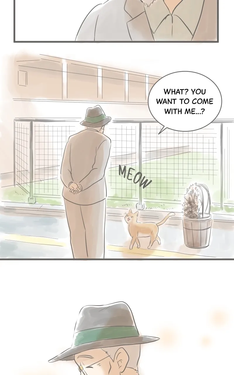 Amid The Changing Seasons Zinmanga X Chapter 4 Page 35