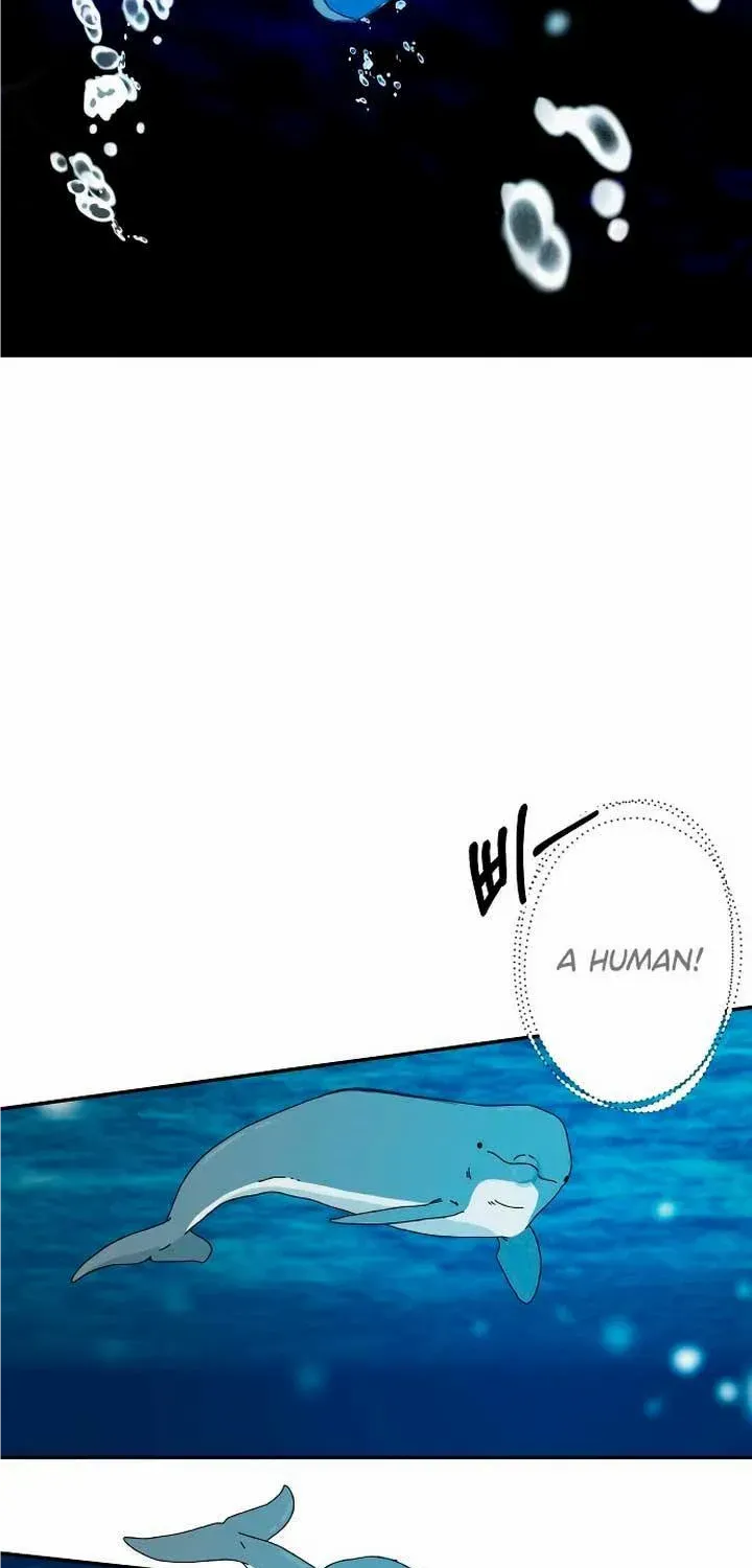 The Mermaid I Loved Zinmanga X Chapter 25 Page 53