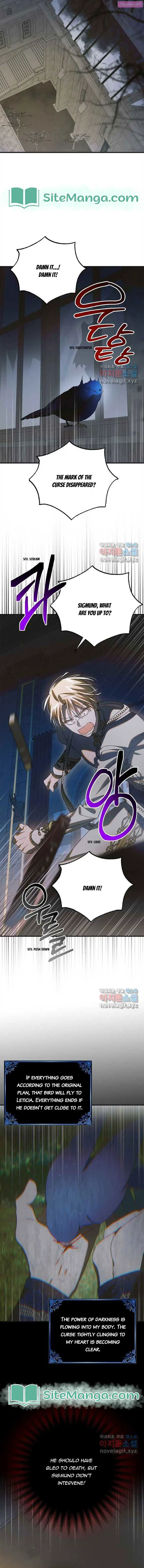 A Way To Protect The Lovable You Zinmanga X Chapter 121 Page 13