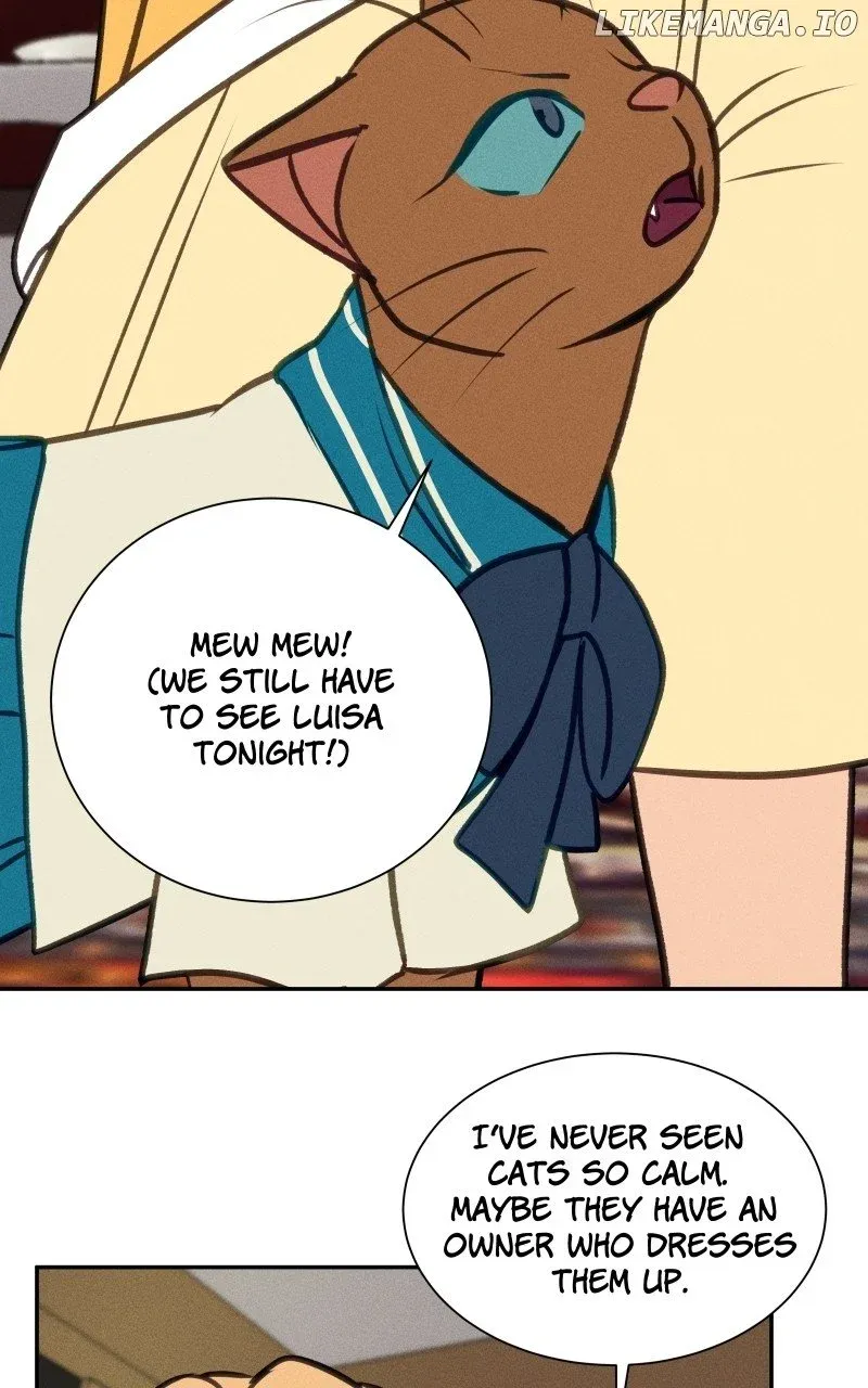 Love Me To Death Zinmanga X Chapter 86 Page 31