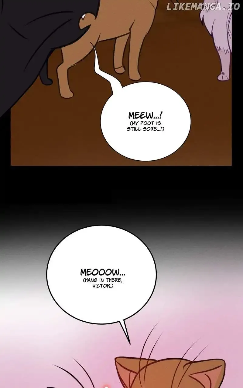 Love Me To Death Zinmanga X Chapter 85 Page 47