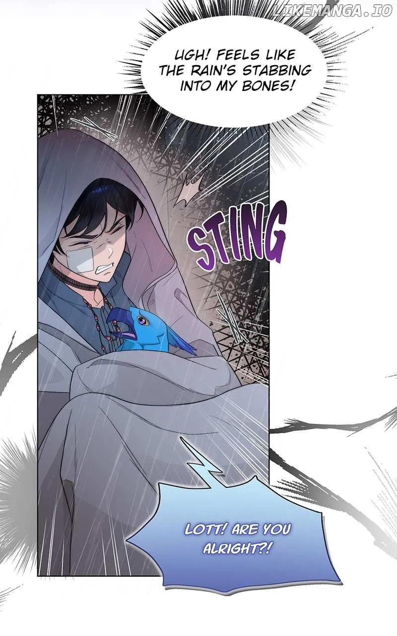 Seabird and the Wolf Zinmanga X Chapter 13 Page 4