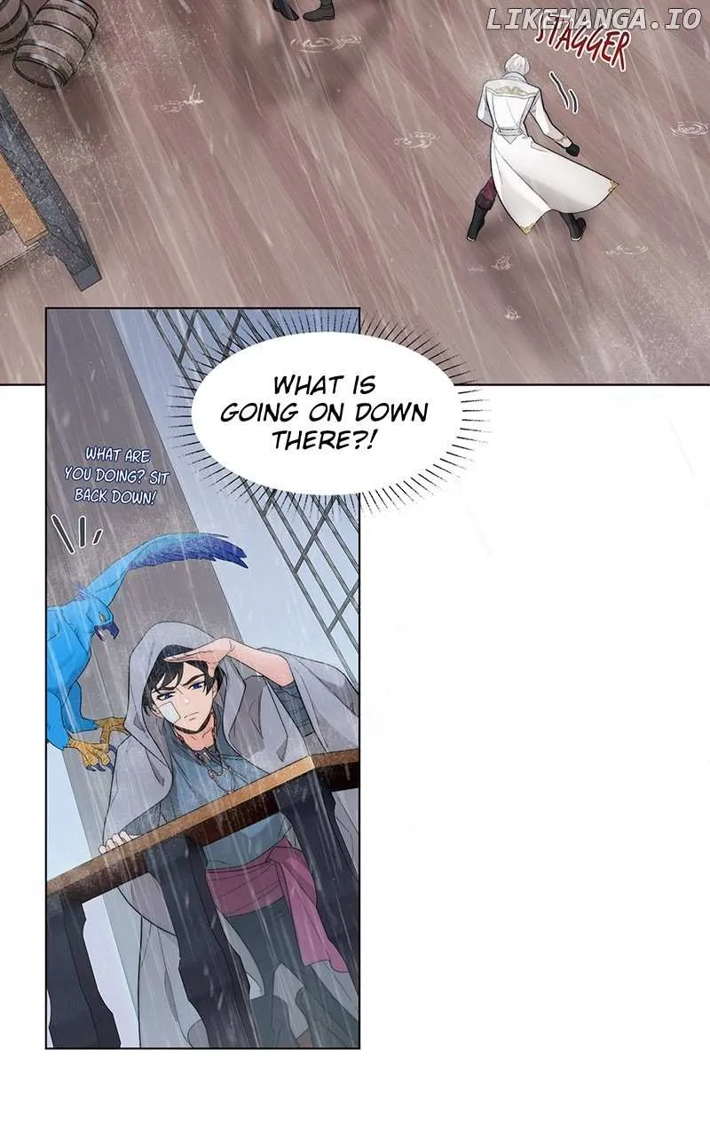Seabird and the Wolf Zinmanga X Chapter 13 Page 9
