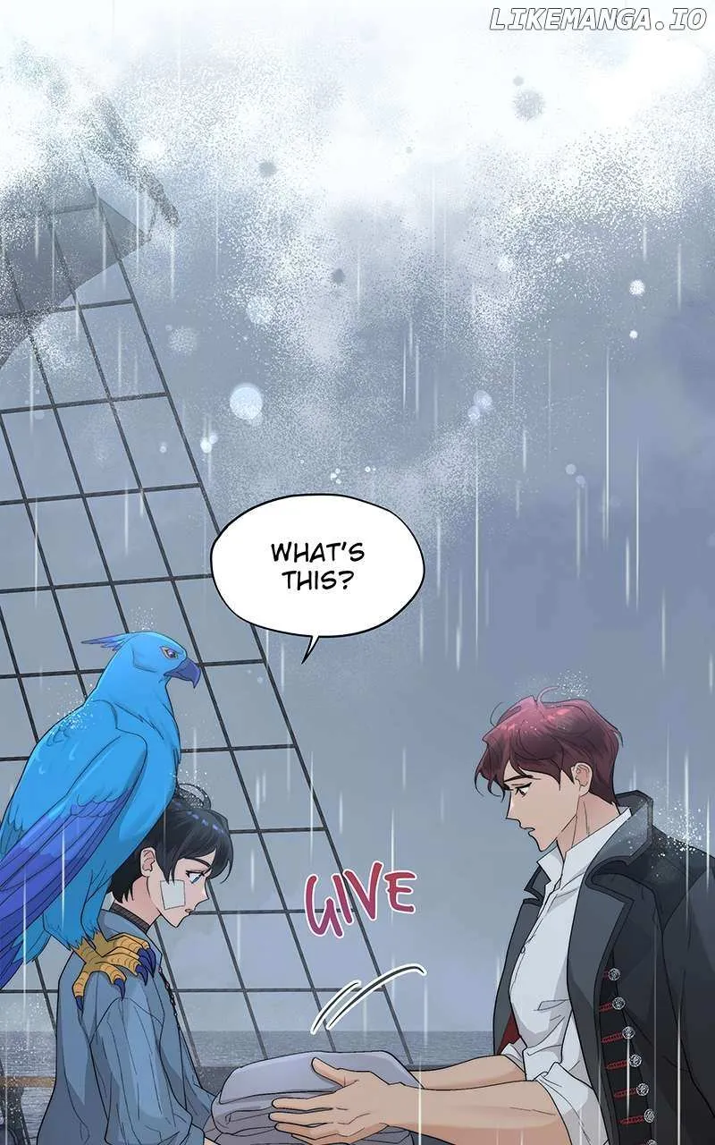 Seabird and the Wolf Zinmanga X Chapter 12 Page 49