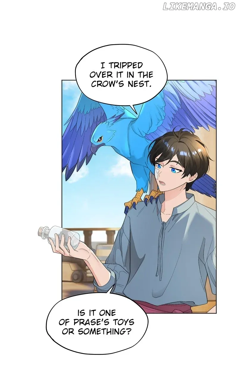 Seabird and the Wolf Zinmanga X Chapter 11 Page 3
